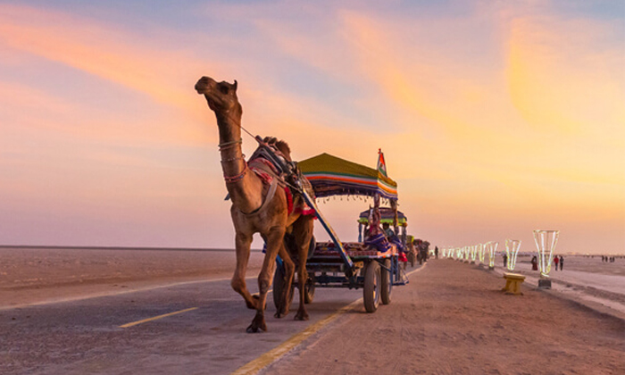 Complete Guide On Kutch Rann Utsav