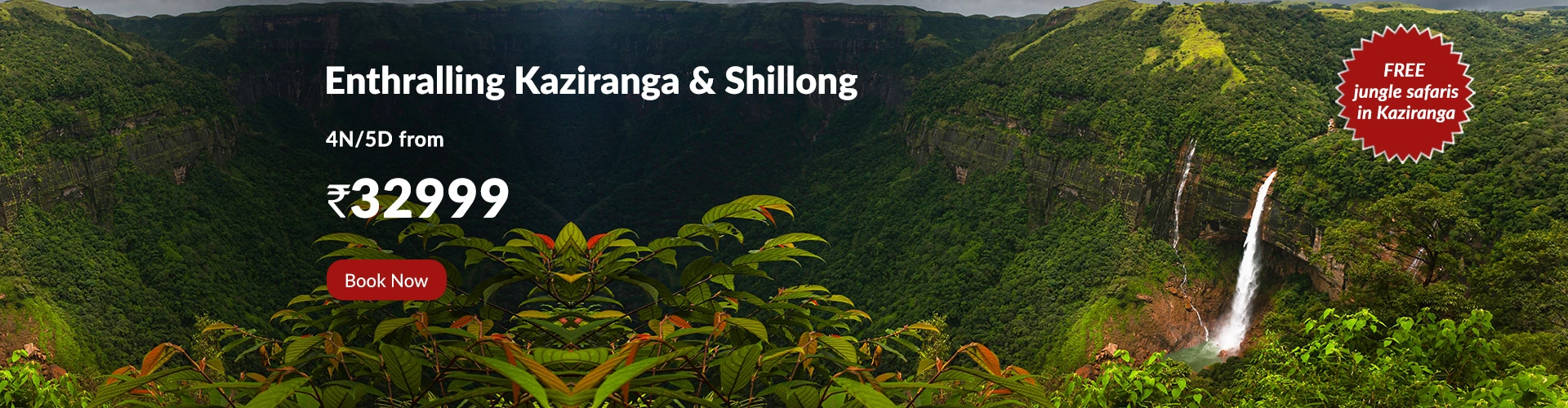 kaziranga-and-Shillong