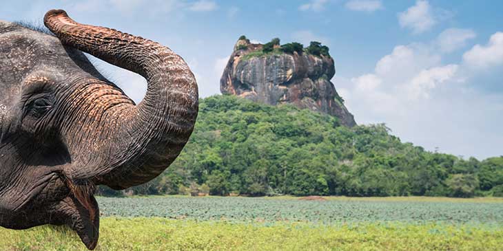 Cheap Flights To Sri Lanka Brightsun Travel India