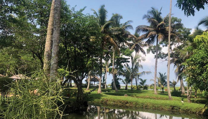 An Insider’s Guide to a Family & Eco-Friendly Holiday in Kerala