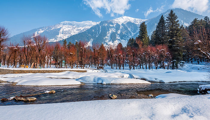Kashmir Spring Fall Fall in Love with Kashmir through These Magical Autumn Experiences