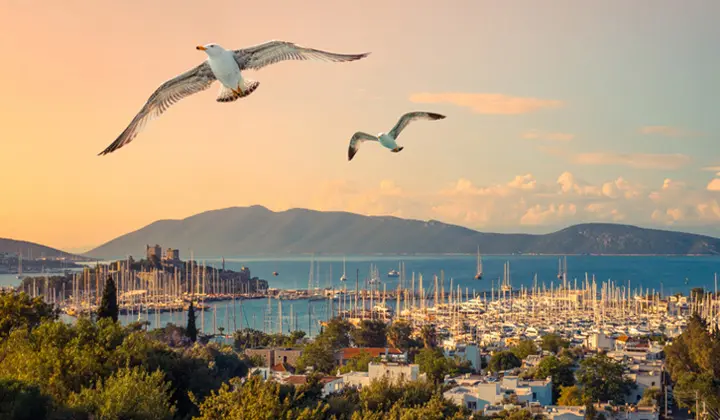 Safety Advice Whilst Holidaying In Bodrum