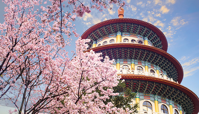 A Travel Agent’s Guide to Taipei
