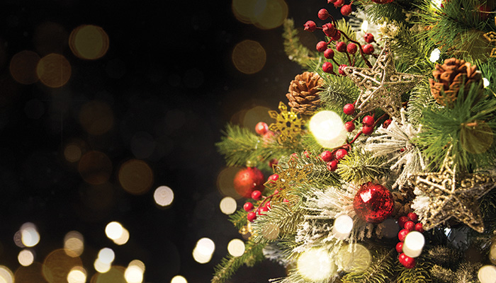 Special Christmas Traditions Around The World