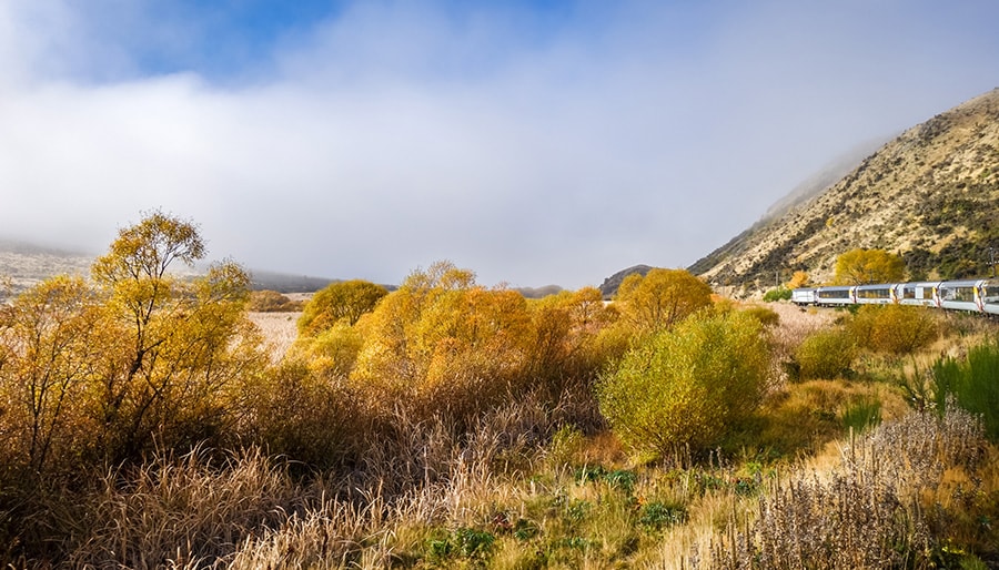 TranzAlpine-New-Zealand-Cheap-Flight-Tickets-from-UK-Brightsun-UK