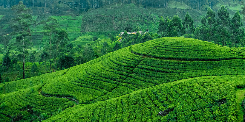 Sri Lanka