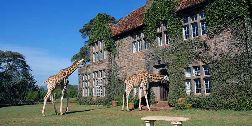 Giraffe-Manor