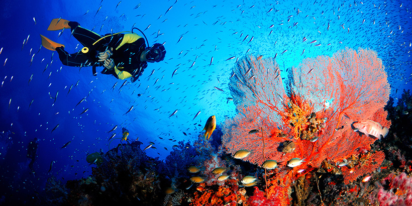 Andaman