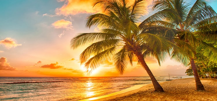 Beautiful sunset over sea view palms