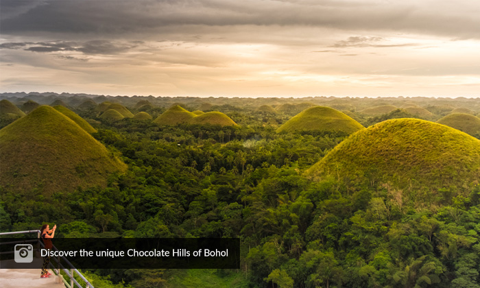 Discover the unique Chocolate Hills of Bohol