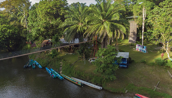 Freme-Rainforest-Lodge