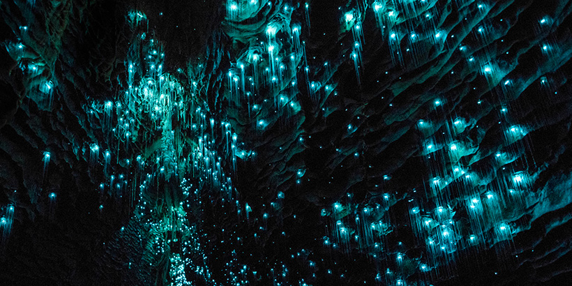 Glowworm-cave