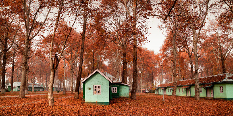 Kashmir