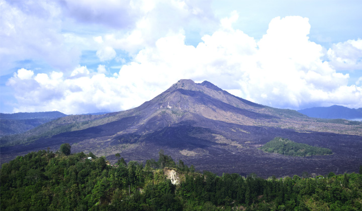 Mouth Kintamani