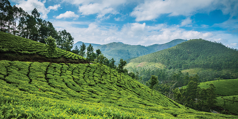 Munnar