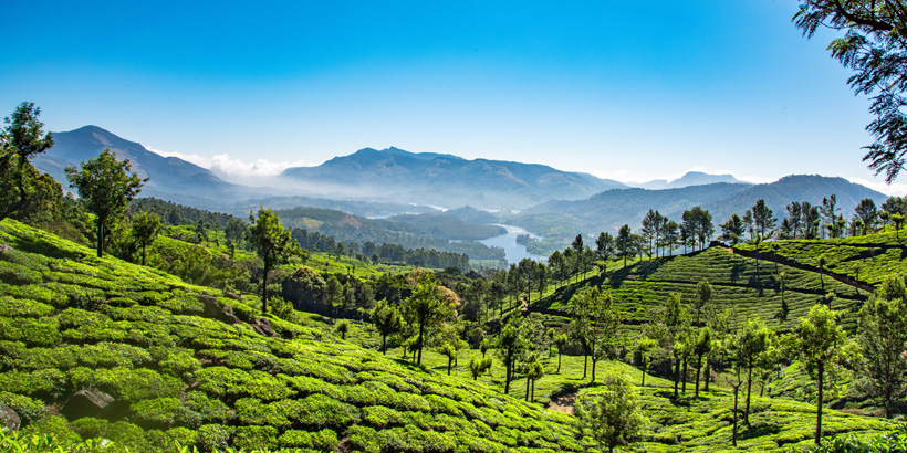 munnar