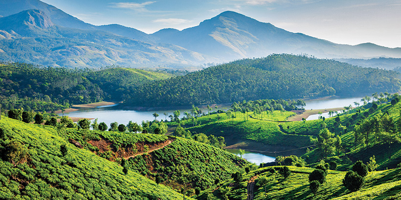 Munnar Kerala