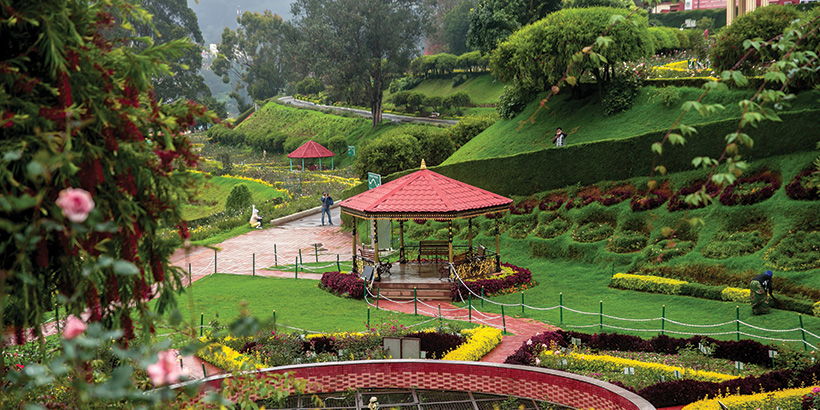 Ooty