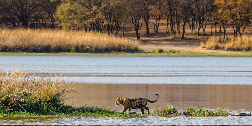 Rajasthan