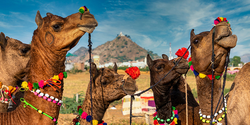 Rajasthan