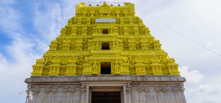 Ramanathaswamy Temple in Rameswaram