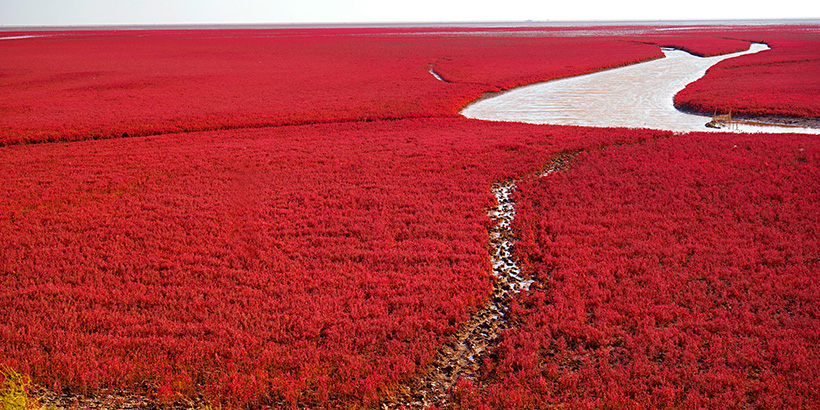 Red-Beach-China