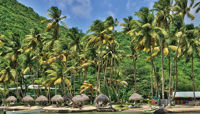 Saint-Lucia