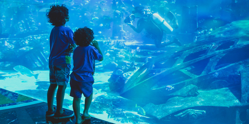 Silhouettes kids in big aquarium. Dubai