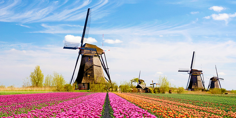 Tulip-Fields-Netherlands