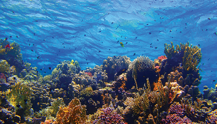 Umluj - the Saudi Maldives
