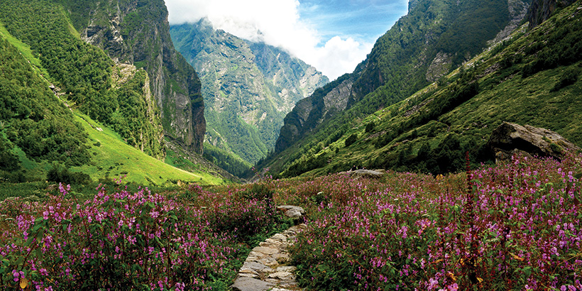 Valley-of-Flowers