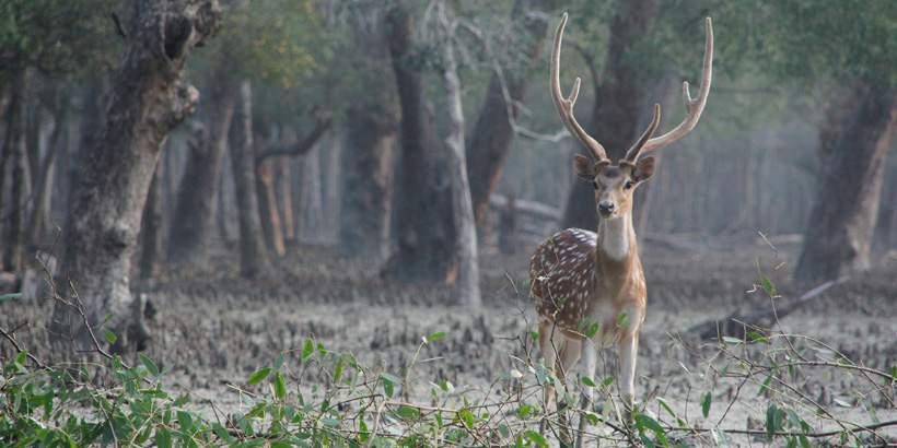 West Bengal