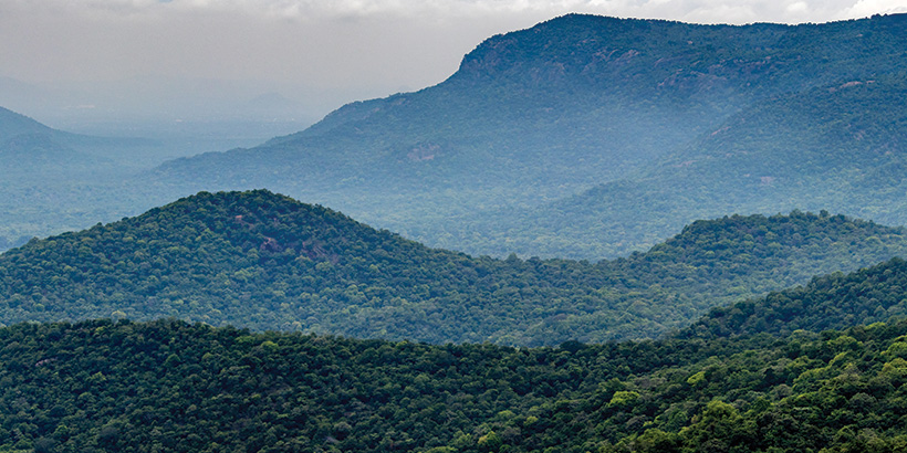 Yercaud