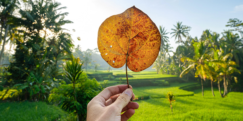 Bali