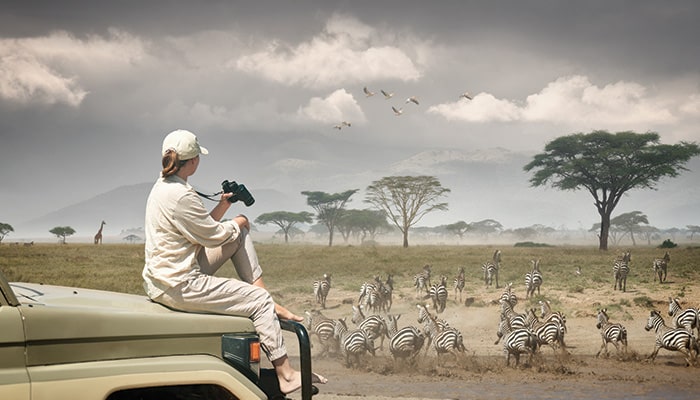 wildlife-photographer