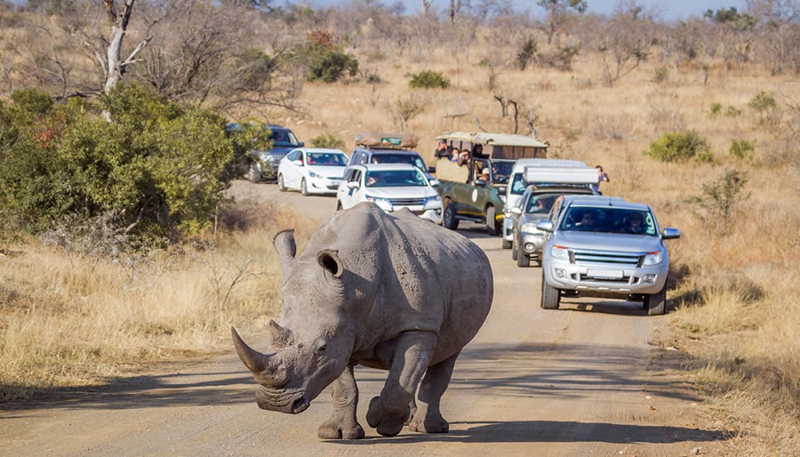 Kruger-National-Park-South-Africa-Travel-Advisor-Brightsun-UK