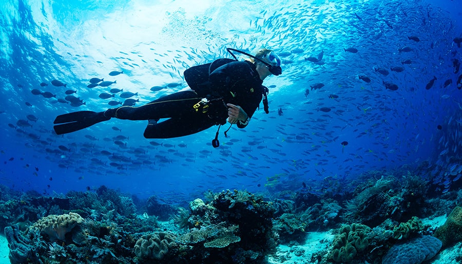 Swimming-Underwater-in-The-Ocean-Cheap-Flights-Brightsun-Travel-UK