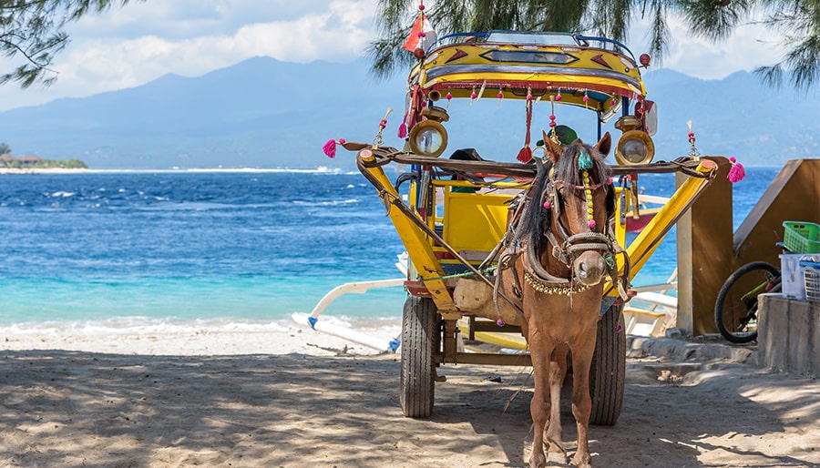 The-Gili-Islands-in-Bali-Tour-Operators-UK-Brightsun-Travel